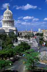 PATRIA Y HUMANIDAD